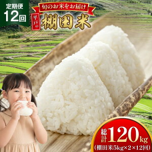 yӂ邳Ɣ[Łz ߘa7N Ic 5kg 2 v 10kg 12  v120kg [ЂǐVNs 茧 ˎs hr42bgy400177] ߘa7NY R  ͂  Ђ Ђ̂Ђ ɂ܂