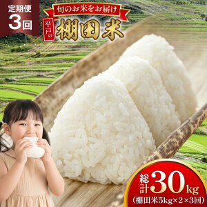 yӂ邳Ɣ[Łz ߘa7N Ic 5kg 2 v 10kg 3  v30kg [ЂǐVNs 茧 ˎs hr42bgy400181] ߘa7NY R  ͂  Ђ Ђ̂Ђ ɂ܂