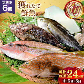 【ふるさと納税】魚 海鮮 地魚 詰合せ4〜5種類 6回 定期便 [ひらど新鮮市場 長崎県 平戸市 hr42bgy400191] さかな 詰め合わせ 鮮魚