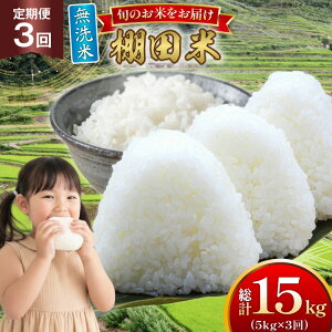 yӂ邳Ɣ[Łz  ߘa7N  Ic 5kg 3  v15kg [ЂǐVNs 茧 ˎs hr42bgy400193] ߘa7NY R  ͂   