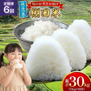 yӂ邳Ɣ[Łz  ߘa7N  Ic 5kg 6  v30kg [ЂǐVNs 茧 ˎs hr42bgy400194] ߘa7NY R  ͂   