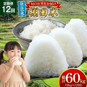 yӂ邳Ɣ[Łz  ߘa7N  Ic 5kg 12  v60kg [ЂǐVNs 茧 ˎs hr42bgy400195] ߘa7NY R  ͂   