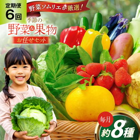 【ふるさと納税】野菜 果物 ソムリエ厳選 地元野菜 果物 6回 定期便 [ひらど新鮮市場 長崎県 平戸市 hr42bgy400196] やさい くだもの フルーツ