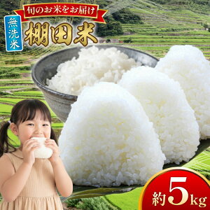 yӂ邳Ɣ[Łz ߘa7N  Ic 5kg [ЂǐVNs 茧 ˎs hr42bgy400199] ߘa7NY R  ͂  Ђ Ђ̂Ђ ɂ܂ Ȃق̂