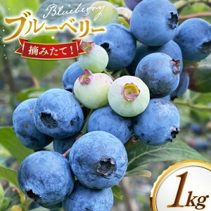 yӂ邳Ɣ[Łzu[x[ Ⓚ 250g 4pbN v 1kg [u[x[ moon berry's kitchen 茧 ˎs hr42bhb500002] n fU[g XC[c X[W[ 