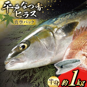 yӂ邳Ɣ[Łzhg q}T ˂Ȃ qX g 1kg [ij쐅Y 茧 ˎs hr42bgy420005]   hg hgp   ①  ȒP Z  t[c