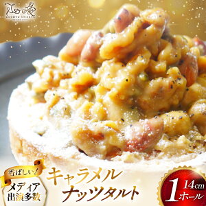 yӂ邳Ɣ[Łz^g P[L Libc^g 1z[ 14cm [SD-Cotoyu Sweets- 茧 ˎs hr42bgy420013] A[h  JV[ibc ڂ̎ XC[c L J