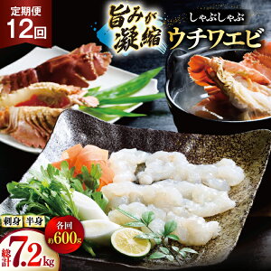 yӂ邳Ɣ[Łz킦 Gr CV hg Ԃ CN 12  E`Grhg 200gEE`Grg 400g Zbg v7.2kg [Ђ΂ 茧 ˎs hr42bgy420029]   CY 