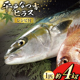 【ふるさと納税】刺身 ヒラマサ 平戸なつ香 ヒラス 丸々 1匹 約4kg [（株）坂野水産 長崎県 平戸市 hr42bgy420031] 魚介 さかな お刺身 刺身用 さしみ 冷蔵 下処理済 レシピ付き おかず フルーツ魚 夏香 鮮魚 海鮮 鍋 海鮮丼 生食 生食用