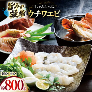yӂ邳Ɣ[Łz킦 Gr CV hg Ԃ CN E`Grhg 400gEE`Grg 400g Zbg v800g [Ђ΂ 茧 ˎs hr42bgy420044]   CY hg Ⓚ 