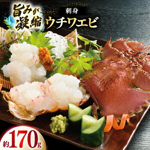 yӂ邳Ɣ[Łz킦 Gr CV Y hg Ⓚ E`Gr hg 170g (||t) [Ђ΂ 茧 ˎs hr42bgy420060]  CN CY Zbg ^ ^pbN 