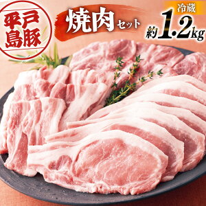 yӂ邳Ɣ[Łz[X [X ؃o ˓ ēZbg 1.2kg [O쐸X 茧 ˎs hr42bgy420067] ؓ ē Ă o[xL[ BBQ