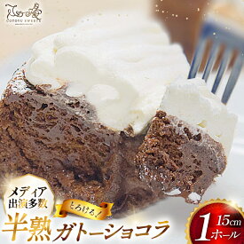 【ふるさと納税】ガトーショコラ ケーキ 半熟ガトーショコラ 1ホール 15cm [心優-Cotoyu Sweets- 長崎県 平戸市 hr42bgy420093] チョコレート 濃厚 ずっしり 生チョコ スイーツ ケーキ ご褒美 誕生日