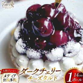 【ふるさと納税】ケーキ タルト 贅沢 ダークチェリー タルト 1ホール 14cm [心優-Cotoyu Sweets- 長崎県 平戸市 hr42bgy420097] アメリカン チェリー サクランボ さくらんぼ フルーツ 果物 たっぷり スイーツ ご褒美 誕生日