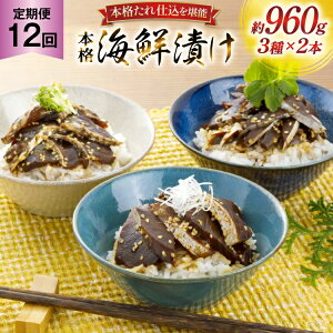 yӂ邳Ɣ[Łzhg Ђ {i CNЂ Zbg 160g 6{ 12  v1.1kg lߍ킹 Hה [悩땨Y 茧 ˎs hr42bgy420099]  Ђ Ⓚ т̂   Ԃ 