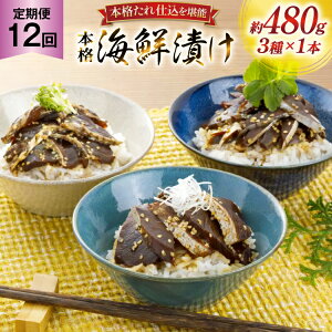 yӂ邳Ɣ[Łzhg Ђ {i CNЂ Zbg 160g 3{ 12  v5.7kg lߍ킹 Hה [悩땨Y 茧 ˎs hr42bgy420101]  Ђ Ⓚ т̂   Ԃ 