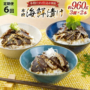 yӂ邳Ɣ[Łzhg Ђ {i CNЂ Zbg 160g 6{ 6  v5.7kg lߍ킹 Hה [悩땨Y 茧 ˎs hr42bgy420105]  Ђ Ⓚ т̂   Ԃ 