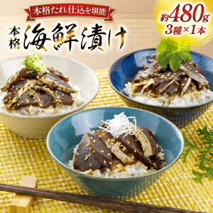 yӂ邳Ɣ[Łzhg Ђ {i CNЂ Zbg 160g 3{ v480g lߍ킹 Hה [悩땨Y 茧 ˎs hr42bgy420119]  Ђ Ⓚ т̂   Ԃ   CN 