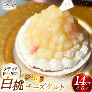 yӂ邳Ɣ[Łz P[L  `[Y ^g 1z[ 14cm [SD-Cotoyu Sweets- 茧 ˎs hr42bgy420129]   t[c `[YP[L XC[c J a