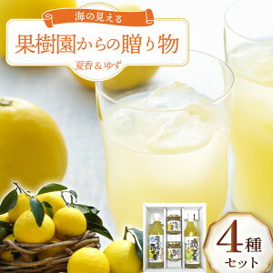 yӂ邳Ɣ[Łzʕ IW ʎ̑蕨 4 Zbg [Pʉ 茧 ˎs hr42bgy420171] ݂ W[X }[}[h 䂸