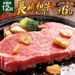 yӂ邳Ɣ[Łza Xe[L a T[C 250g 2 \[Xt 12  v6kg [HY 茧 ˎs hr42bgy410030]   ē ɂ   SĂ