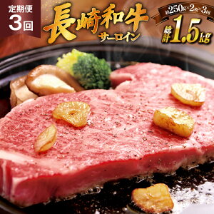 yӂ邳Ɣ[Łza Xe[L a T[C 250g 2 \[Xt 3  v1.5kg [HY 茧 ˎs hr42bgy410031]   ē ɂ   SĂ