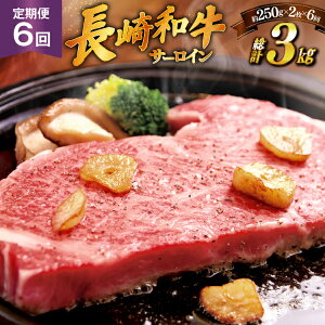 yӂ邳Ɣ[Łza Xe[L a T[C 250g 2 \[Xt 6  v3kg [HY 茧 ˎs hr42bgy410032]   ē ɂ   SĂ