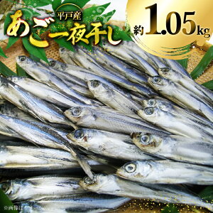 yӂ邳Ɣ[Łz  銱  1050g 10C O [X萅Y 茧 ˎs hr42bgy410050]  ܂ i