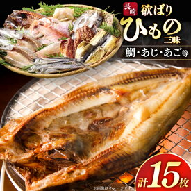 【ふるさと納税】 干物 セット 欲ばり 平戸ひもの三昧 9種 詰め合わせ [篠崎海産物店 長崎県 平戸市 hr42bgy410384] ひもの 鯛 タイ あご あじ いわし かます さわら さば 朝食 一夜干し 魚介 あじの開き おつまみ つまみ ふっくら おかず 焼くだけ