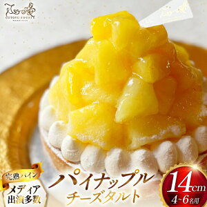 yӂ邳Ɣ[ŁzpCibv P[L pCibv`[Y^g 1z[ 14cm [SD-Cotoyu Sweets- 茧 ˎs hr42bgy420210] pC t[c `[YP[L ^g XC[c J a