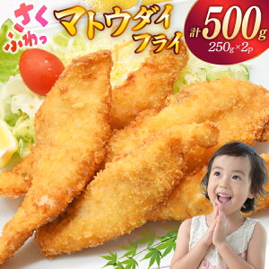 yӂ邳Ɣ[ŁztC  tC  g Ⓚ }gE_C̃tC 500g (250g×2pbN) [Ђ΂ 茧 ˎs hr42bgy420223] tBbVtC g gtC g y g Ⓚ