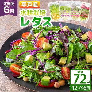 yӂ邳Ɣ[Łz^X k͔| 4 12 Zbg 6  v72 Hה lߍ킹 [tWt@[ 茧 ˎs hr42bgy420230] T_ Yn    tbV 