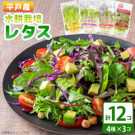 【ふるさと納税】レタス 水耕栽培 4種 12袋 セット 食べ比べ 詰め合わせ [モロフジファーム 長崎県 平戸市 hr42bgy420323] サラダ 産地直送 個包装 小分け 野菜 フレッシュ 健康志向 緑黄色野菜