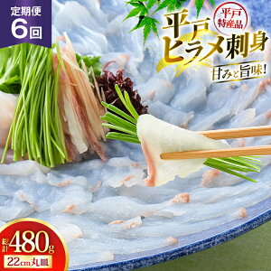 yӂ邳Ɣ[Łz hg q h 80g 6  v 480g [˂琅Y 茧 ˎs hr42bgy420344]  Ђ h 