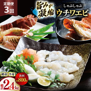 yӂ邳Ɣ[Łz킦 Gr CV hg Ԃ CN 3  E`Grhg 400gEE`Grg 400g Zbg v2.4kg [Ђ΂ 茧 ˎs hr42bgy420364]   CY h