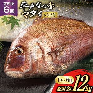 yӂ邳Ɣ[Łz^C hg ˂Ȃ  ہX 1C 2kg 6  v 12kg [ij쐅Y 茧 ˎs hr42bgy420441]   hgp  ①  t[c č N CN 