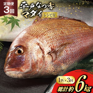 yӂ邳Ɣ[Łz^C hg ˂Ȃ  ہX 1C 2kg 3  v 6kg [ij쐅Y 茧 ˎs hr42bgy420456]   hgp  ①  t[c č N CN 