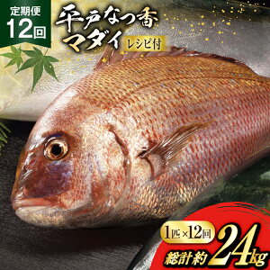 yӂ邳Ɣ[Łz^C hg ˂Ȃ  ہX 1C 2kg 12  v 24kg [ij쐅Y 茧 ˎs hr42bgy420457]   hgp  ①  t[c č N CN