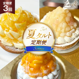 yӂ邳Ɣ[Łzt[c ^g ă^g 3 č  }S[ Hה e 1z[ 14cm 3  v3z[ [SD-Cotoyu Sweets- 茧 ˎs hr42bgy420459] gsJ ʕ P[L 