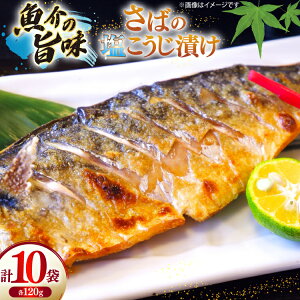 yӂ邳Ɣ[Łz I  Ђ Ћ   Ⓚ  ؂g TỏЂ 10 (120g/) [Ђ 茧 ˎs hr42bgy420368] Ă ċ CN Ђ Â  Mtg ^