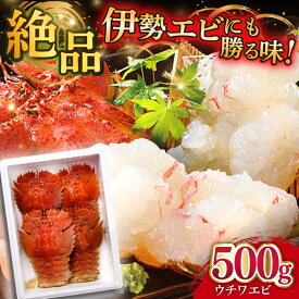 【ふるさと納税】【選べる配送月】平戸 ウチワエビ 三昧 500g【平戸さくら水産】[KAA151]