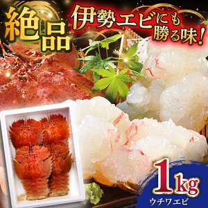 yӂ邳Ɣ[Łz E`Gr O 1000gy˂琅Yz [KAA152]
