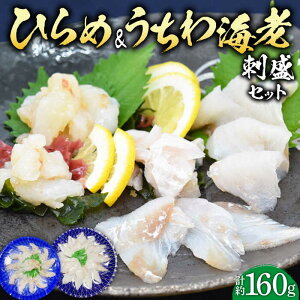 yӂ邳Ɣ[Łzy˂̓YHהׁzЂ&CV̎hZbg 160g ˎs / ˂琅Y [KAA215] VN CN  hg q  