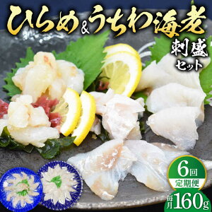 yӂ邳Ɣ[ŁzyS6ցzЂ&CV̎hZbg v960g(160g×6) ˎs / ˂琅Y [KAA246] VN  CN 荇킹 hg q E`Gr 6 
