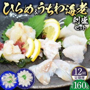 yӂ邳Ɣ[ŁzyS12ցzЂ&CV̎hZbg v1920g(160g×12) ˎs / ˂琅Y [KAA247] VN  CN 荇킹 hg q E`Gr 12 