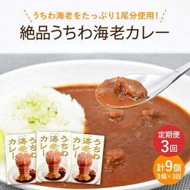 【ふるさと納税】【全3回定期便】【うちわ海老1尾分！！】絶品 うちわ海老カレー 計9個（3個セット/回） 平戸市 [KAA291] えび エビ うちわえび 贅沢 たっぷり 海鮮 カレー 3回 定期便