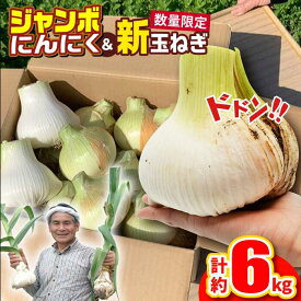 【ふるさと納税】ジャンボにんにく約1kg・新玉葱約5kgセット 平戸市 / しげさん農園 [KAA375]