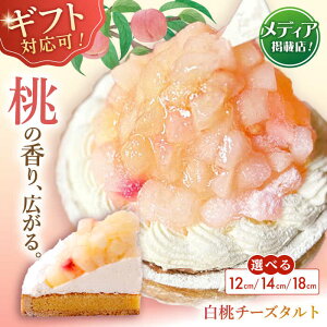 yӂ邳Ɣ[ŁzyIׂTCYzyyVzyMtgΉ\Iz`[Y^g1z[ 12cm~18cmySD@|Cotoyu Sweets|z[KAA389] P[L XC[c Ԍ mَq 茧 z[P[