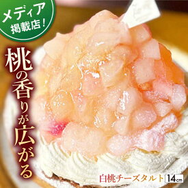 【ふるさと納税】白桃チーズタルト1ホール(14cm)【心優　－Cotoyu Sweets－】[KAA389]