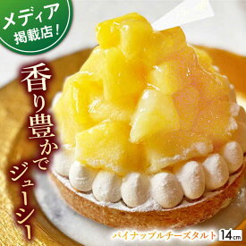 【ふるさと納税】パイナップルチーズタルト1ホール(14cm)【心優　－Cotoyu Sweets－】[KAA391]